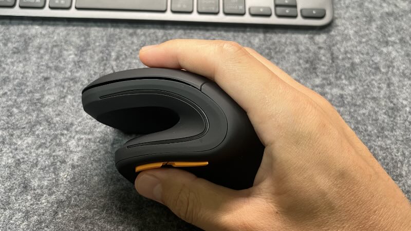 横から見たところ